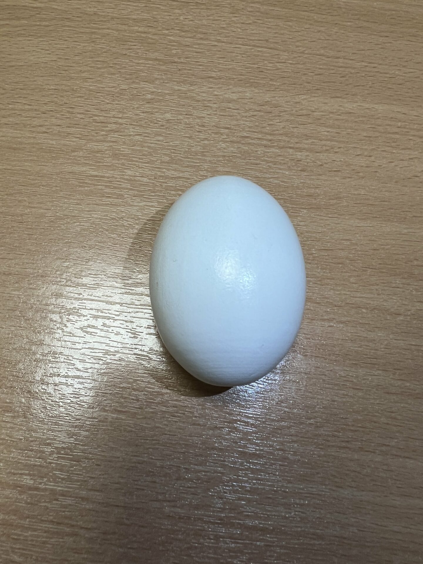 Super Wooden Egg (White)