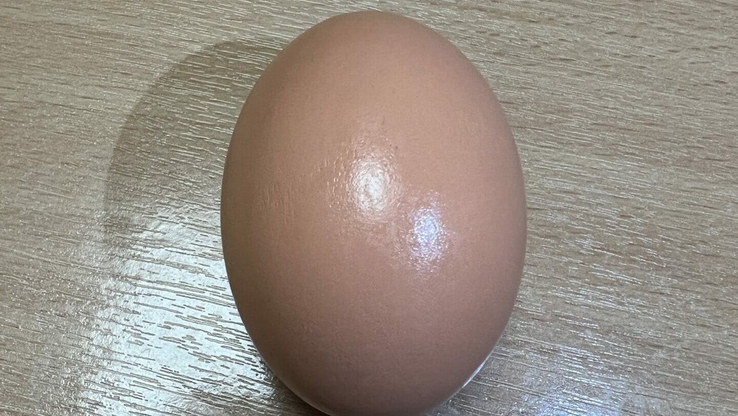 Buy Egg Magic Trick