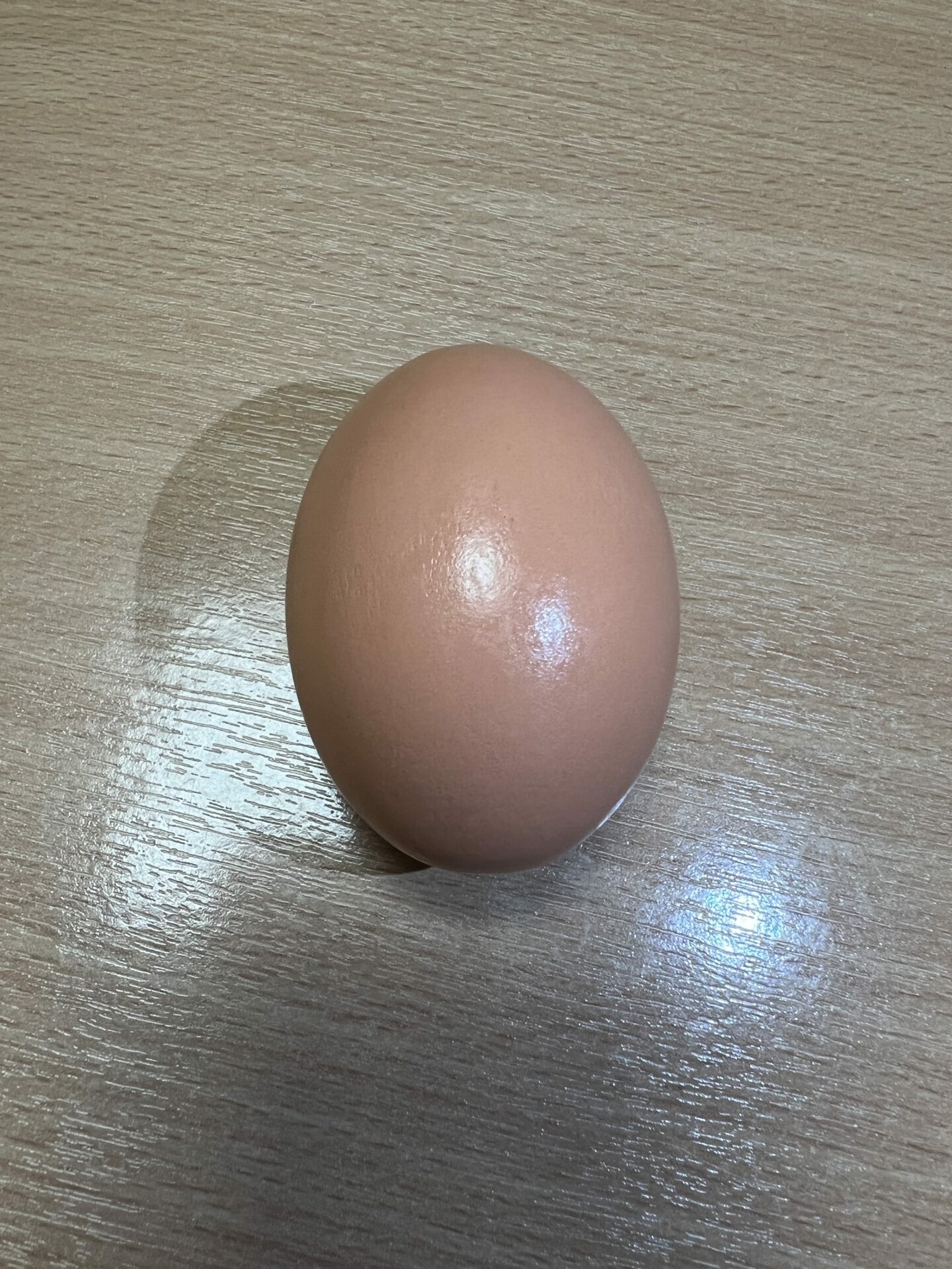 Super Wooden Egg (Brown)