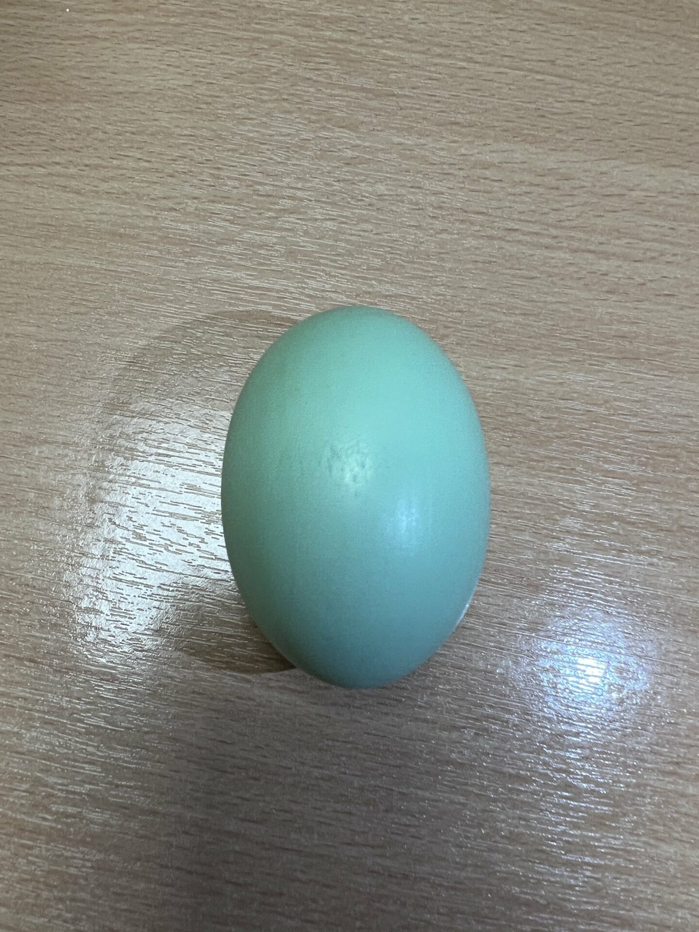 Super Wooden Egg (Duck)
