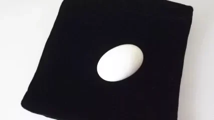 Buy Egg Bag Magic Trick