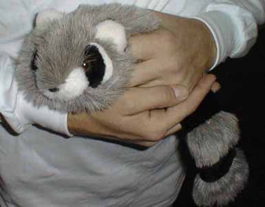 Roxie Raccoon